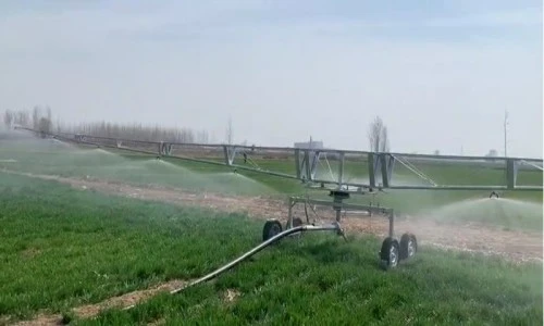 double swing linear