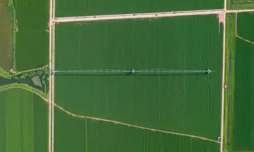 lateral move square lateral move square