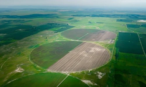 pivot coverage