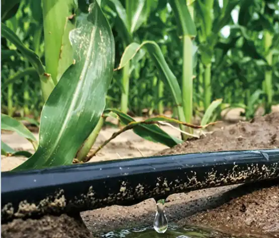 water saving drip water saving drip