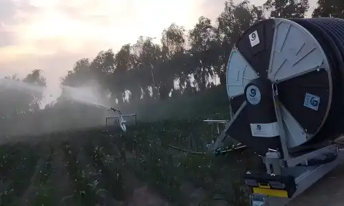 hose reel_field hose reel_field