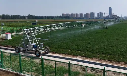 How Does a Linear Move Irrigation System Work?